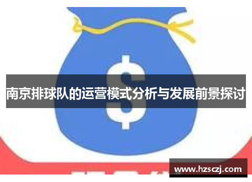 南京排球队的运营模式分析与发展前景探讨