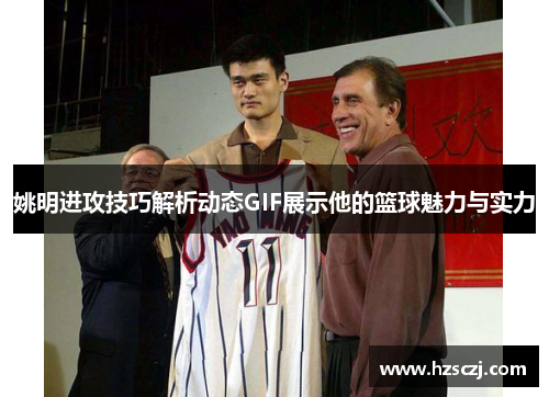 姚明进攻技巧解析动态GIF展示他的篮球魅力与实力